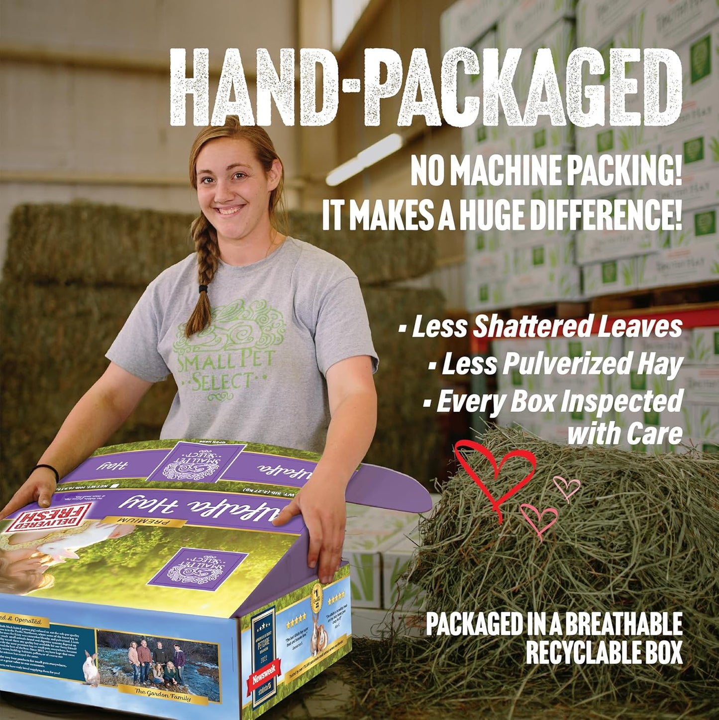 Alfalfa Hay Pet Food for Young Rabbits, Guinea Pigs, Chinchillas, Tortoises and Other Small Animals, Easy to Store Box, 5 LB