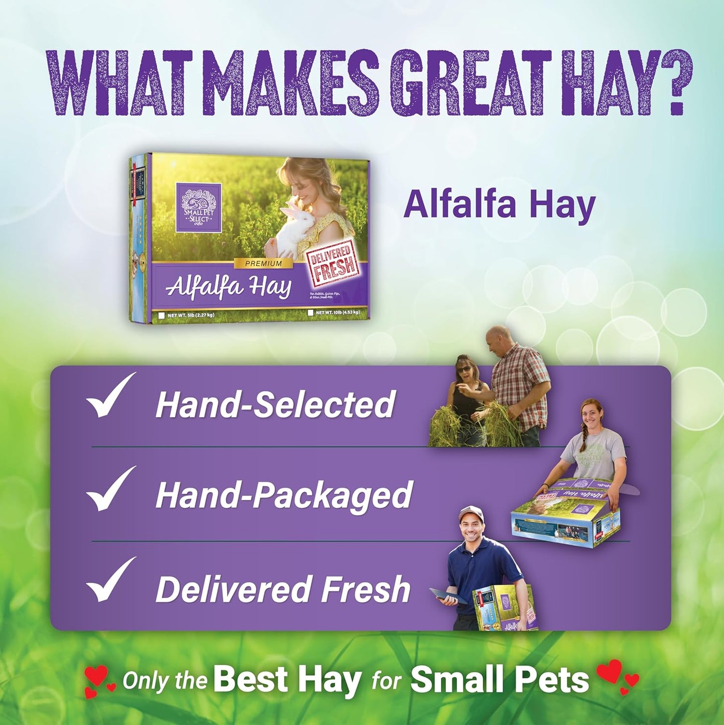 Alfalfa Hay Pet Food for Young Rabbits, Guinea Pigs, Chinchillas, Tortoises and Other Small Animals, Easy to Store Box, 5 LB