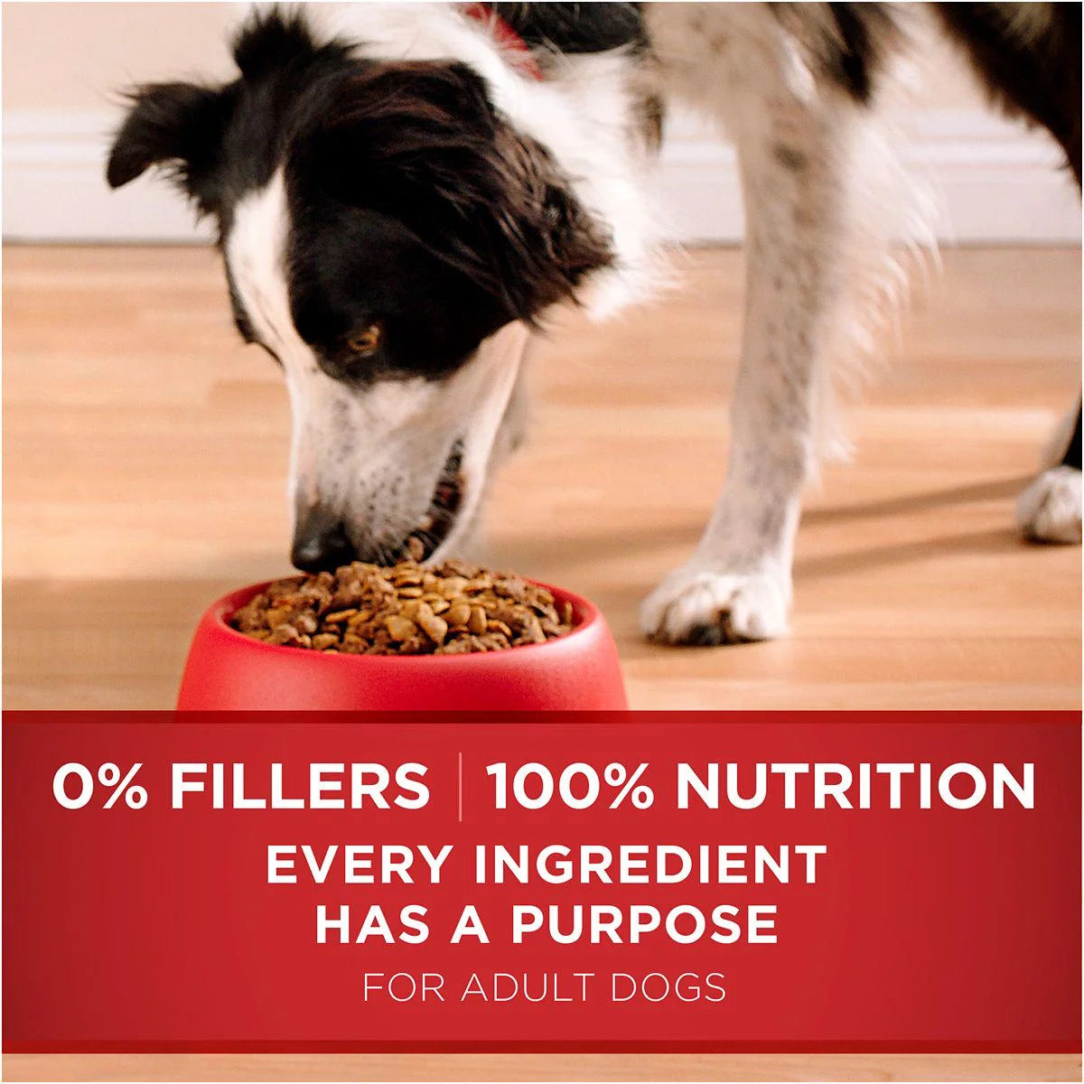 Smartblend Natural Adult Chicken & Rice Dry Dog Food,40 Lb. Bag