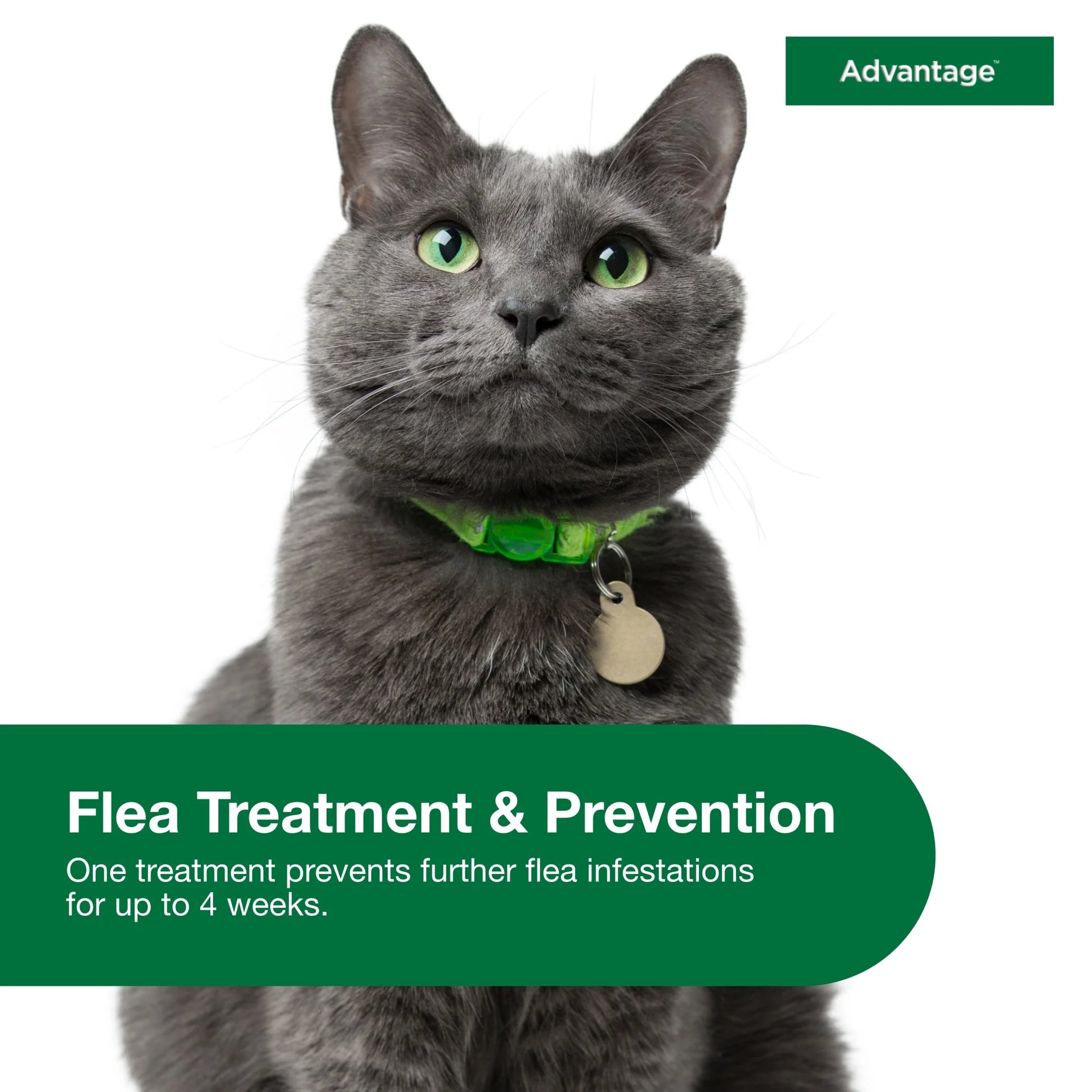 (3 Pack)  Topical Flea Treatment & Prevention for Large Cats over 9 Lbs. (2 Count)