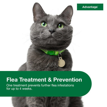 (3 Pack)  Topical Flea Treatment & Prevention for Large Cats over 9 Lbs. (2 Count)