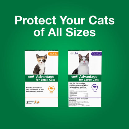 (3 Pack)  Topical Flea Treatment & Prevention for Large Cats over 9 Lbs. (2 Count)