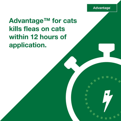 (3 Pack)  Topical Flea Treatment & Prevention for Large Cats over 9 Lbs. (2 Count)