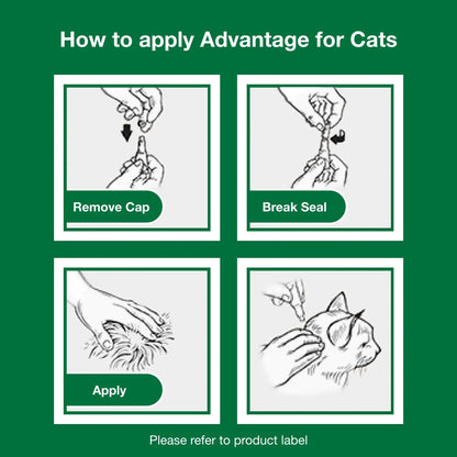 (3 Pack)  Topical Flea Treatment & Prevention for Large Cats over 9 Lbs. (2 Count)