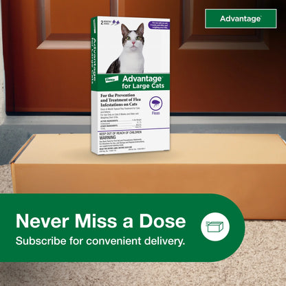 (3 Pack)  Topical Flea Treatment & Prevention for Large Cats over 9 Lbs. (2 Count)