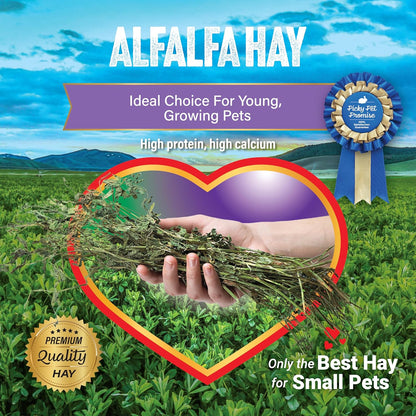 Alfalfa Hay Pet Food for Young Rabbits, Guinea Pigs, Chinchillas, Tortoises and Other Small Animals, Easy to Store Box, 5 LB